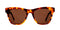 Baxter Blue Georgie Amber Tortoise Sunglasses