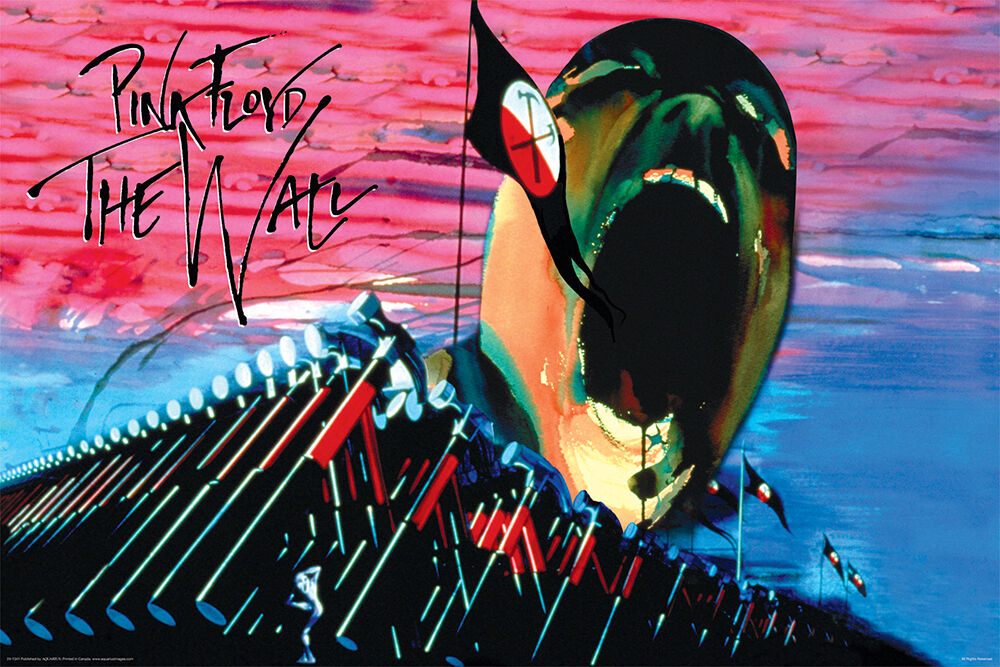 Poster Pink Floyd - Dark Side of The Moon, (61 x 91.5 cm)
