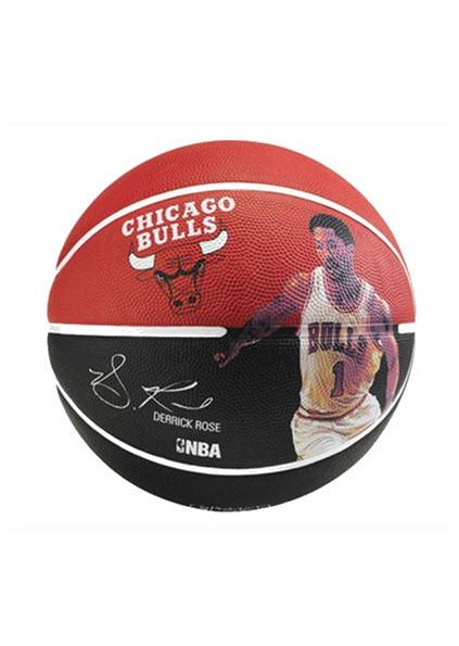 Spalding NBA Derrick Rose  Player Signature Basketball Size 7