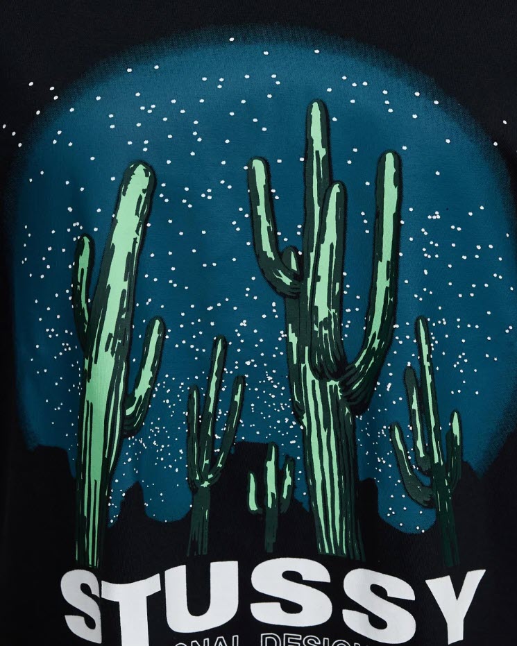 Stussy Cactus Tee Dress – Famous Rock Shop
