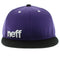 NEFF Daily Cap Purple Black White NF0101