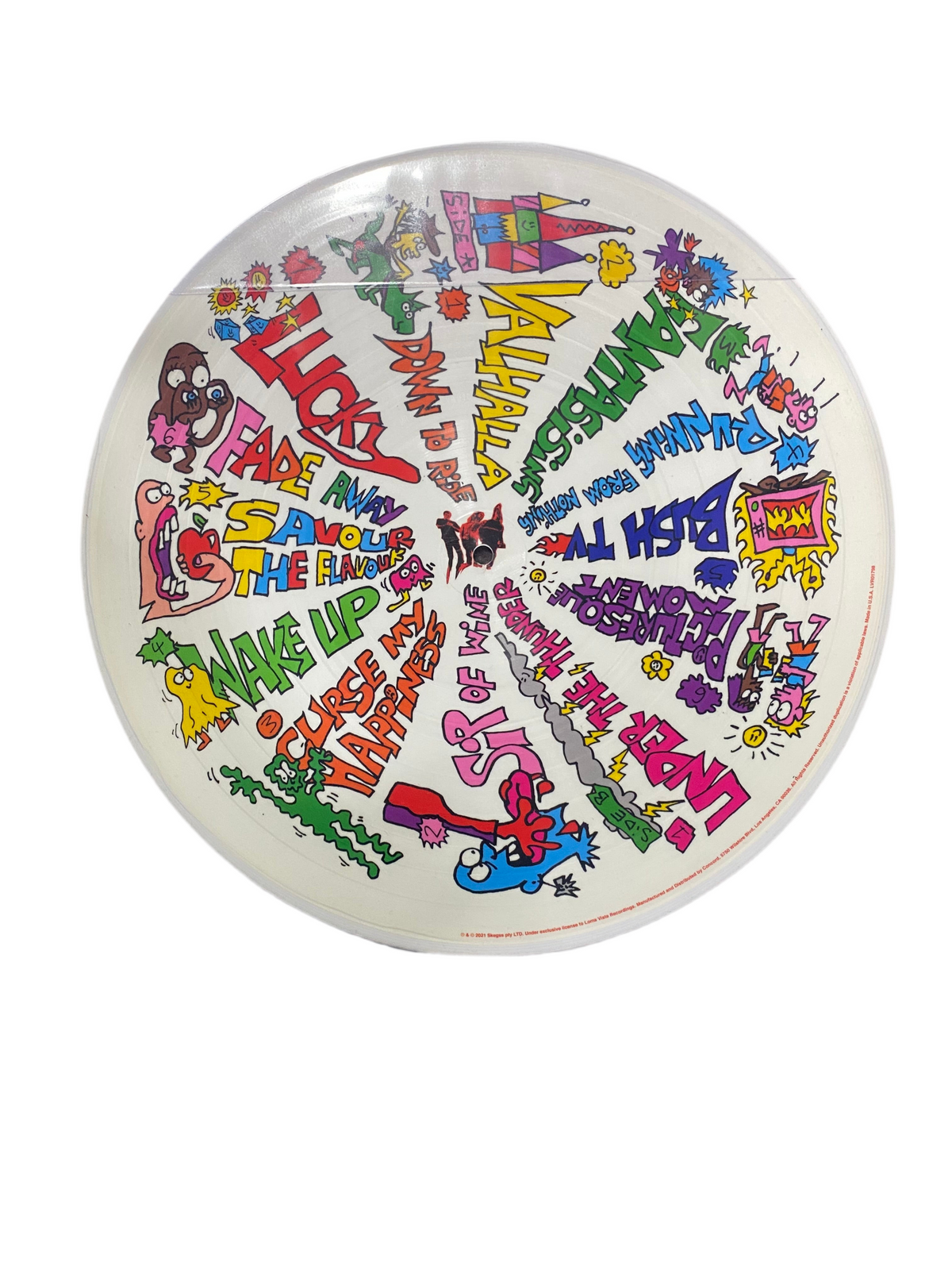 Skegss &nbsp;Rehearsal Picture Disc Vinyl Record.