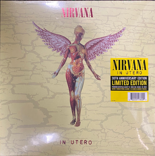 Nirvana In Utero 2LP Vinyl 30th Anniversary Edition Limited Edition Premium Gatefold
