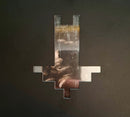Behemoth I Loved You At Your Darkest CD