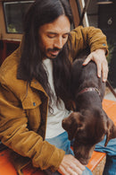 Brixton Cable Sherpa Lined Trucker Jacket