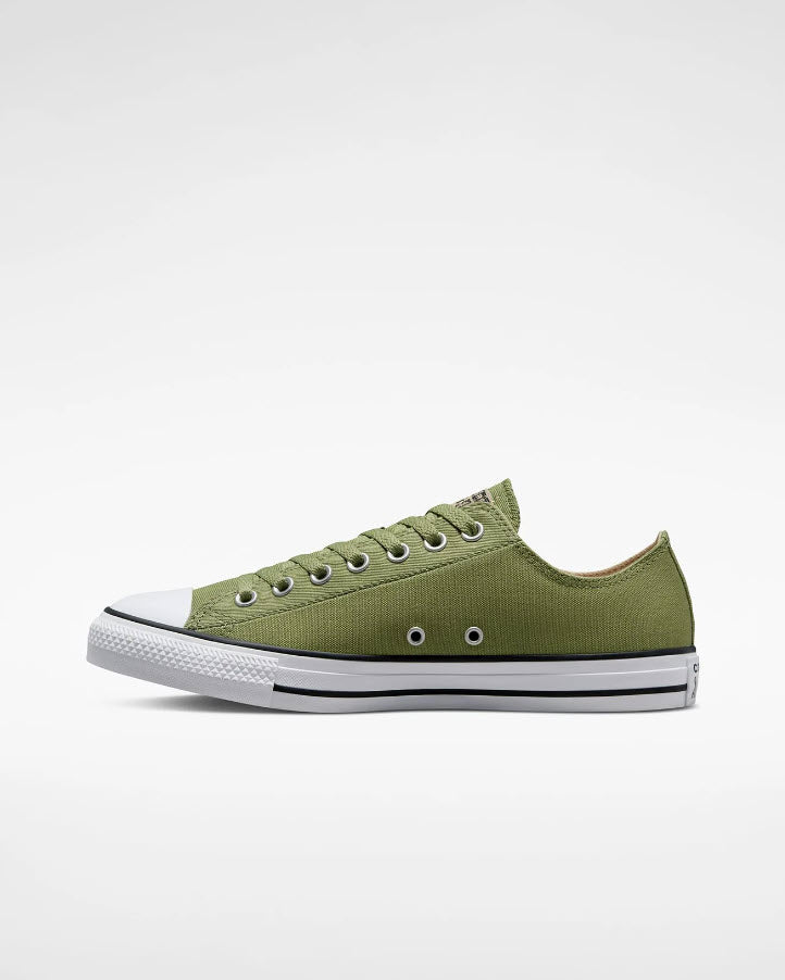 Converse -Converse Ox Alligator Friend Oat Milk