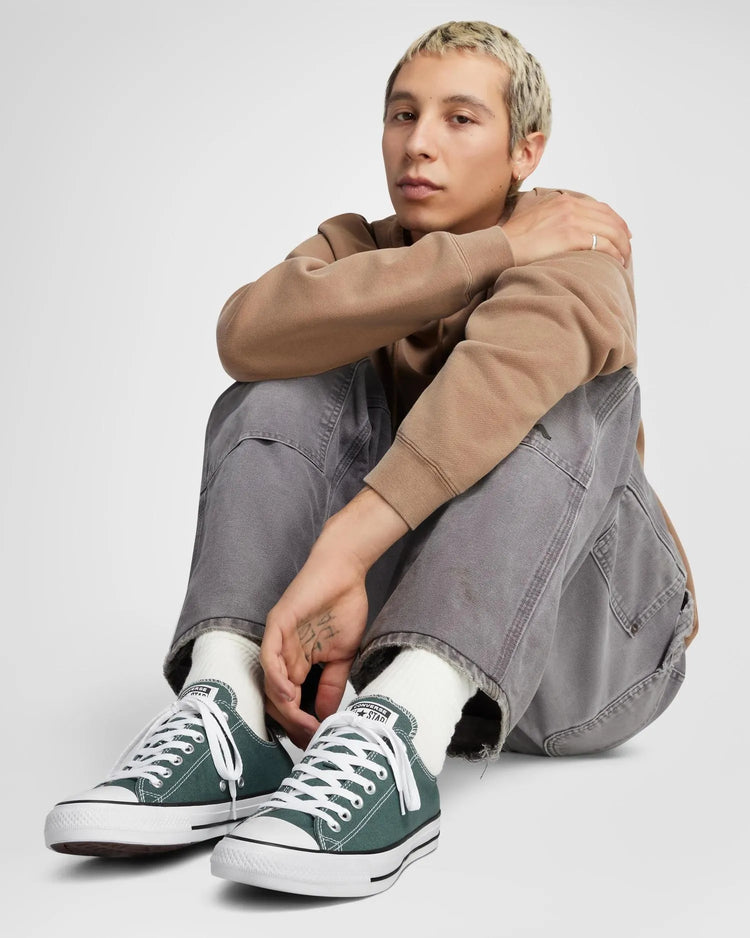 Converse Chuck Taylor All Star Low Top True Nature