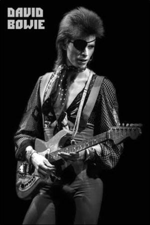 David Bowie Ziggy Live Poster