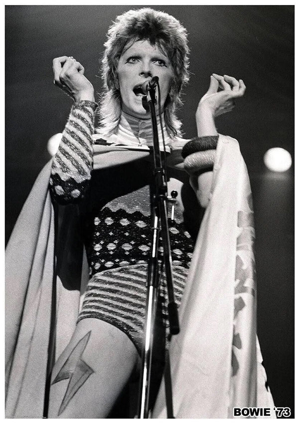 David Bowie Ziggy Stardust Live 1973 A1 Poster