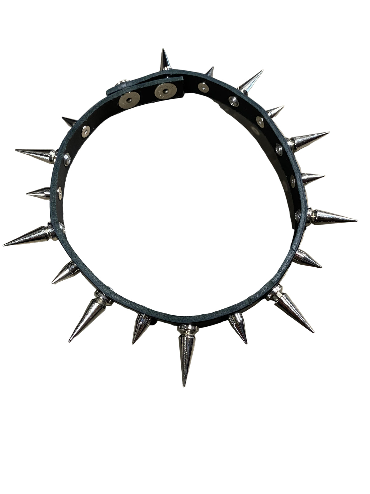 Circular metal collar with spikes on a metallic background
