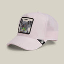 Goorin Bros Terry Cloth Koala Whisper Cap Hat