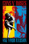 Gun n Roses Use Your Illusion Poster