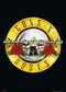 Guns n Roses Logo Poster