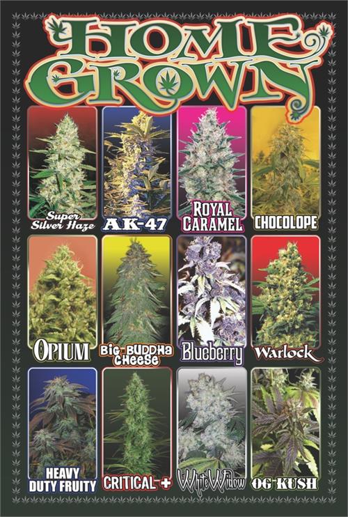 Home Grown Poster