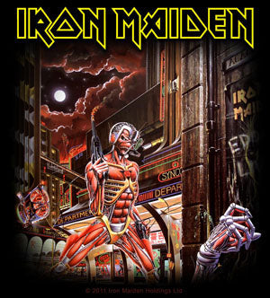 Iron Maiden Somewhere In Time Vinyl Sticker