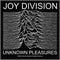 Joy Division Unknown Pleasures Patch