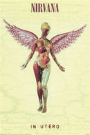 Album cover for Nirvana's 'In Utero' with a winged figure and visible text.