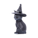 Purrah Witches Hat Occult Cat