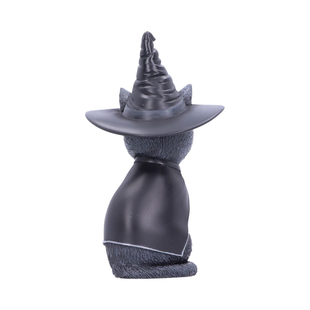 Purrah Witches Hat Occult Cat