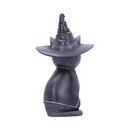 Purrah Witches Hat Occult Cat