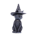 Purrah Witches Hat Occult Cat