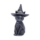 Purrah Witches Hat Occult Cat