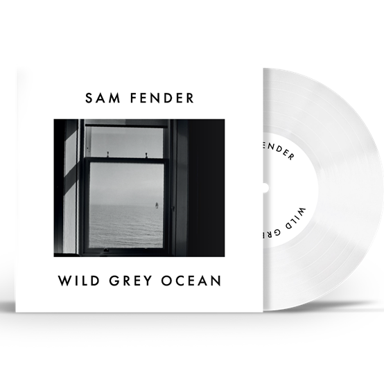 Sam Fender Wild Grey Ocean Little Bull Of Blithe Vinyl 7inch RSD