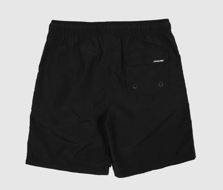 Santa Cruz Youth Cruzier Black Beach Short