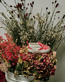 Vans Infant Slip-On V Red Hot Valentine
