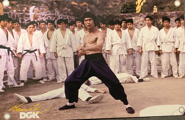 DGK x Bruce Lee Warrior Banner