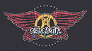 Aerosmith Wing Distress Unisex T-Shirt