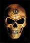 Alchemy The Omega  Skull Poster 