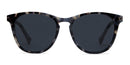 Baxter Blue Nat Graphite Tortoise Sunglasses