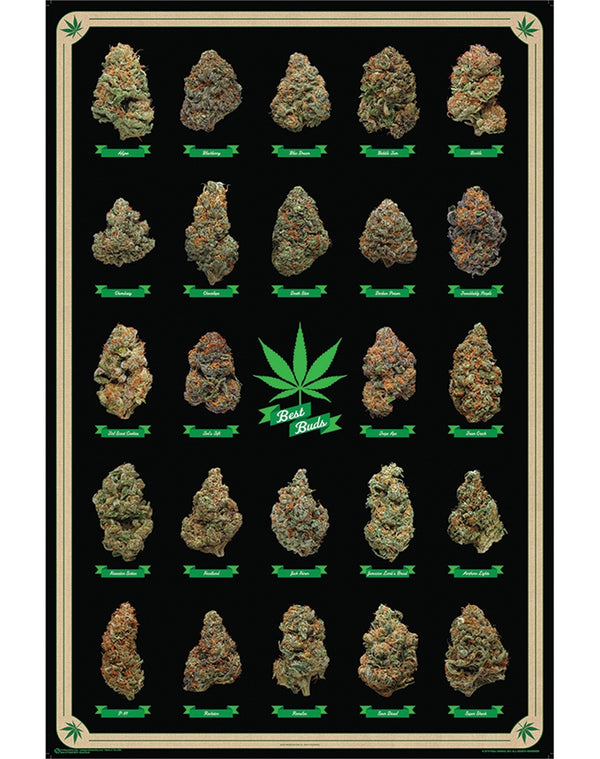 Best Buds Poster