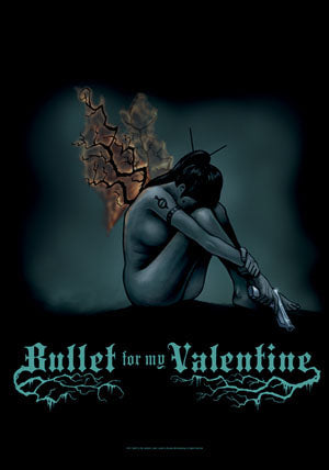 Bullet For My Valentine Textile Poster Flag 