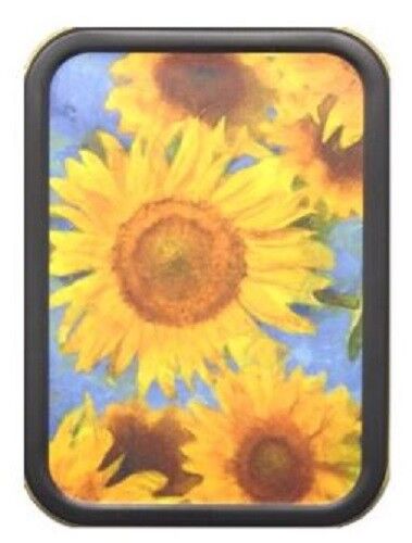 Container Stash Tin Box Large 8 x 11cm Flowers