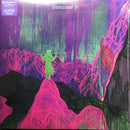 DINOSAUR JR GIVE A GLIMPSE OF WHAT YER NOT LP VINYL FAMOUS ROCK SHOP NEWCASTLE 2300 NSW AUSTRALIA