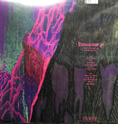 DINOSAUR JR GIVE A GLIMPSE OF WHAT YER NOT LP VINYL FAMOUS ROCK SHOP NEWCASTLE 2300 NSW AUSTRALIA