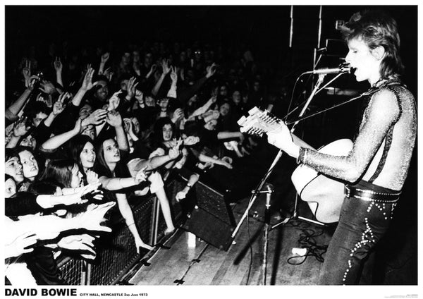 David Bowie eu Crowd Poster