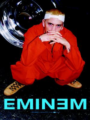 Eminem Textile Poster Flag