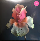 Flume Tiny Cities Take a Chance Remix 12 LP  Famous Rock Shop 517 Hunter Street Newcastle 2300 NSW Australia