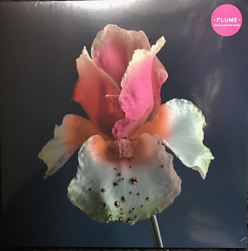 Flume Tiny Cities Take a Chance Remix 12 LP  Famous Rock Shop 517 Hunter Street Newcastle 2300 NSW Australia