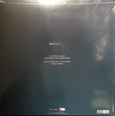 Flume Tiny Cities Take a Chance Remix 12 LP  Famous Rock Shop 517 Hunter Street Newcastle 2300 NSW Australia