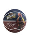 Lebron James 23 NBA Basketball Cleveland Cavaliers Spalding Collector's Size 7 ball