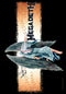Megadeth Textile Poster Flag