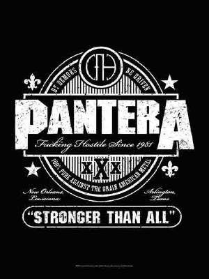 Pantera Stronger Than All Textile Poster Flag