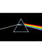Pink Floyd Dark Side Of The Moon Poster 
