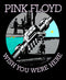 Pink Floyd Wish You Were Here Unisex T-Shirt