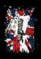 Sex Pistols Anarchy Textile Poster Flag Famousrockshop