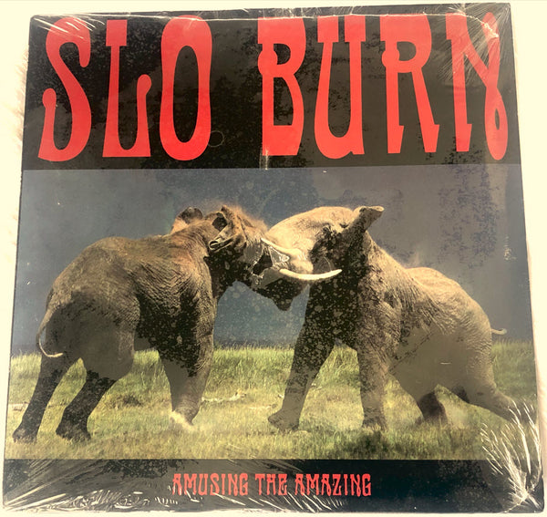 Slo Burn Amusing The Amazing Vinyl 10 Inch